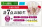 漁師の 塩こうじ漬け 5種 7点セット 【ひかり水産 】 