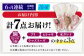  漁師の 塩こうじ漬け 5種 7点セット 【ひかり水産 】 