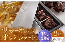 【全12回定期便】サマーオレンジ オランジェット 2セット【心優-CotoyuSweets-】 [KAA505] 