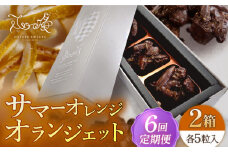 【全6回定期便】 サマーオレンジ オランジェット 2セット【心優-CotoyuSweets-】 [KAA504]