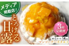【全3回定期便】完熟マンゴーチーズタルト 1ホール(14cm)【心優-CotoyuSweets-】 [KAA512] 