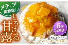 【全6回定期便】 完熟マンゴーチーズタルト 1ホール(14cm)【心優-CotoyuSweets-】 [KAA513] 