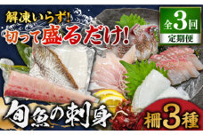 【全3回定期便】 獲れたて 旬魚 の柵 3種 セット（ 刺身 2種＆ イカ 1種）（4～5人前）【平戸市/舘浦漁業協同組合】 [KAA518]刺身 セット 通販 お取り寄せ 新鮮 海鮮盛り合わせ ギフト 贈り物 海鮮丼 手巻き寿司 詰め合わせ 人気 おすすめ