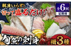【全6回定期便】  獲れたて 旬魚 の柵 3種 セット（ 刺身 2種＆ イカ 1種）（4～5人前）【平戸市/舘浦漁業協同組合】 [KAA519]刺身 セット 通販 お取り寄せ 新鮮 海鮮盛り合わせ ギフト 贈り物 海鮮丼 手巻き寿司 詰め合わせ 人気 おすすめ