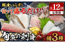 【全12回定期便】 獲れたて 旬魚 の柵 3種 セット（ 刺身 2種＆ イカ 1種）（4～5人前）【平戸市/舘浦漁業協同組合】 [KAA520]刺身 セット 通販 お取り寄せ 新鮮 海鮮盛り合わせ ギフト 贈り物 海鮮丼 手巻き寿司 詰め合わせ 人気 おすすめ