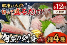 【全12回定期便】 獲れたて 旬魚 の柵 4種 セット（ 刺身 3種＆ イカ 1種）（5～6人前） 【平戸市/舘浦漁業協同組合】 [KAA523]刺身 セット 通販 お取り寄せ 新鮮 海鮮盛り合わせ ギフト 贈り物 海鮮丼 手巻き寿司 詰め合わせ 人気 おすすめ