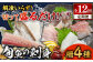  獲れたて 旬魚 の柵 4種 セット（ 刺身 3種＆ イカ 1種）（5～6人前） 【平戸市/舘浦漁業協同組合】 