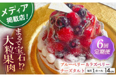【全6回定期便】 ブルーベリー&ラズベリーチーズタルト1ホール(14cm)【心優　－Cotoyu Sweets－】 [KAA531] 