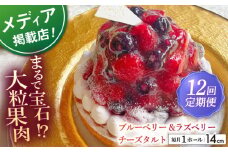 【全12回定期便】ブルーベリー&ラズベリーチーズタルト1ホール(14cm)【心優　－Cotoyu Sweets－】 [KAA532] 