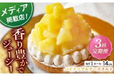 【全3回定期便】パイナップルチーズタルト1ホール(14cm)【心優　－Cotoyu Sweets－】 [KAA533] 