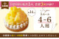 パイナップルチーズタルト1ホール(14cm)【心優　－Cotoyu Sweets－】 