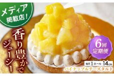 【全6回定期便】 パイナップルチーズタルト1ホール(14cm)【心優　－Cotoyu Sweets－】 [KAA534]