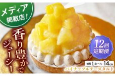 【全12回定期便】パイナップルチーズタルト1ホール(14cm)【心優　－Cotoyu Sweets－】 [KAA535] 