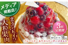 【全3回定期便】ブルーベリー&ラズベリーチーズタルト1ホール(18cm)【心優　－Cotoyu Sweets－】 [KAA542] 