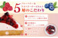 ブルーベリー&ラズベリーチーズタルト1ホール(18cm)【心優　－Cotoyu Sweets－】 
