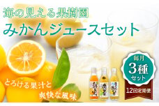 【全12回定期便】【自家栽培の柑橘のみを使用】みかん ジュース 3本 セット【善果園】 [KAA526]