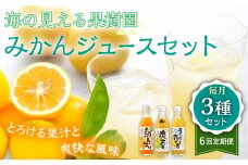 【全6回定期便】【自家栽培の柑橘のみを使用】みかん ジュース 3本 セット【善果園】 [KAA525]