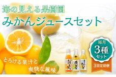 【全3回定期便】【自家栽培の柑橘のみを使用】みかん ジュース 3本 セット【善果園】 [KAA524]