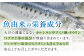 プレミアム10年熟成魚醤油 2種詰合せ 【長田食品】 