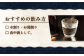 芋焼酎 平戸街道 900ml×6本 【 森酒造場 】 