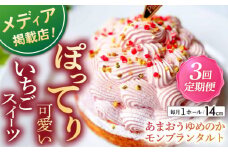 【全3回定期便】あまおうゆめのかモンブラン 1ホール(14cm)【心優-CotoyuSweets-】 [KAA515] あまおう ゆめのか モンブラン ケーキ タルト 苺 イチゴ いちご スイーツ デザート 洋菓子 通販 お取り寄せ ギフト