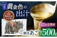 「 焼きあご 」500g【林水産】 