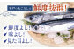 「 焼きあご 」500g【林水産】 