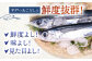 焼きあご 100％ だしパック 11袋【林水産】 