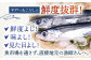 焼きあご 100％ だしパック 11袋【林水産】 