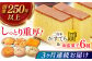 二百年かすてら「暦」（プレーン）＆南蛮菓子詰め合わせ 【牛蒡餅本舗 熊屋】 