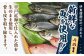  平戸 特選 味くらべ 7点 セット 【伊東蒲鉾店 】 