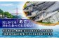 あごだし パウダーとお手軽 スープ の セット 【森崎水産 】 