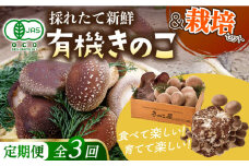 【全3回定期便】平戸有機きのこ栽培セット詰合せ 【きのこ屋】 [KAD285]