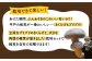 平戸有機きのこ栽培セット詰合せ 【きのこ屋】 