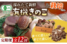 【全12回定期便】平戸有機きのこ栽培セット詰合せ 【きのこ屋】 [KAD287]