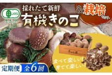 【全6回定期便】平戸有機きのこ栽培セット詰合せ 【きのこ屋】 [KAD286]