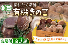 【全3回定期便】平戸有機きのこ箱入りセット【きのこ屋】 [KAD288]