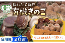 【全6回定期便】平戸有機きのこ箱入りセット【きのこ屋】 [KAD289]