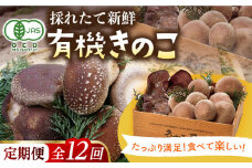 【全12回定期便】平戸有機きのこ箱入りセット【きのこ屋】 [KAD290]