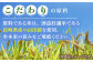 福鶴 特別純米 活性うすにごり 720ml 2本【福田酒造】 