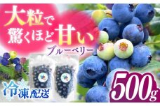 【厳選】高品質へのこだわり 冷凍ブルーベリー 500g【いきつきブルーベリー園 moon berry’s kitchen】 [KAM001]