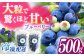 【厳選】高品質へのこだわり 冷凍ブルーベリー 500g【いきつきブルーベリー園 moon berry’s kitchen】 