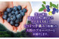 【厳選】高品質へのこだわり 冷凍ブルーベリー 500g【いきつきブルーベリー園 moon berry’s kitchen】 