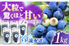 【新鮮】摘みたて！冷凍ブルーベリー 1.0kg【いきつきブルーベリー園 moon berry’s kitchen】 [KAM002]