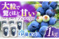 【新鮮】摘みたて！冷凍ブルーベリー 1.0kg【いきつきブルーベリー園 moon berry’s kitchen】 