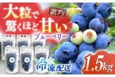 【訳あり】加工に最適！冷凍ブルーベリー 1.5kg【いきつきブルーベリー園 moon berry’s kitchen】 [KAM003]