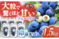 【訳あり】加工に最適！冷凍ブルーベリー 1.5kg【いきつきブルーベリー園 moon berry’s kitchen】 