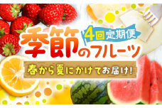 【全4回定期便】季節のフルーツ定期便 [KZZ004]