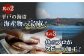 ＜9月発送＞【獲れたて鮮魚を厳選】旬魚のお刺身セット 約300g (100g×3p)  