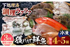 【全3回定期便】【平戸市場直送】旬の獲れたて鮮魚（冷凍）＜4〜5種類＞ 平戸市 / ひらど新鮮市場 [KAB228]
